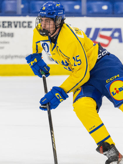 2025 NHL Draft: Central Division needs