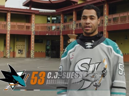 San Jose Barracuda: great name, but how do the jersey and logo look? - The  Hockey News