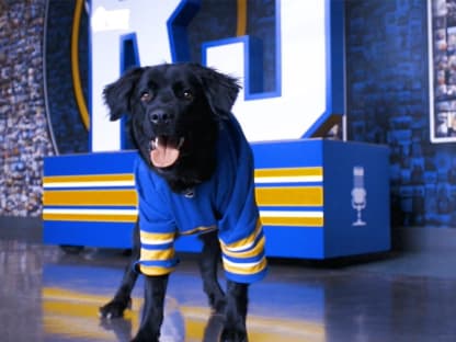 Buffalo Sabres team dog Rick has his own merch in team store