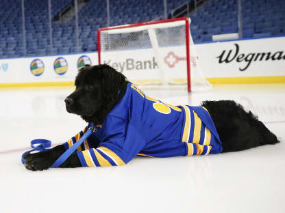 Buffalo Sabres team dog Rick has his own merch in team store