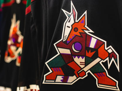 Arizona hot sale coyotes kachina