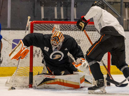 Skating at Honda Center with Anaheim Ducks mascot Wild Wing