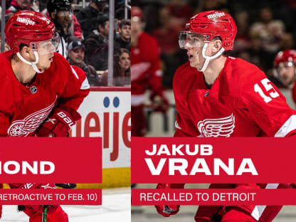NHL: Jakub Vrana re-ups for three years with Red Wings