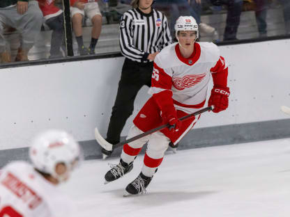 Detroit Red Wings Stock Index: Prospect Tournament Edition