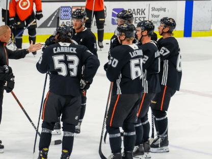 : Anaheim Ducks unveil slightly mighty 30th