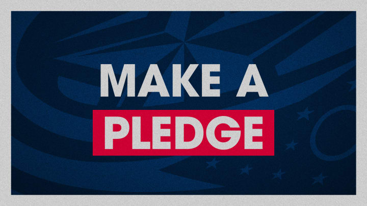 Blue graphic with grey border. Large grey text at center reads Make A Pledge.
