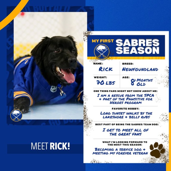Rick the dog bio