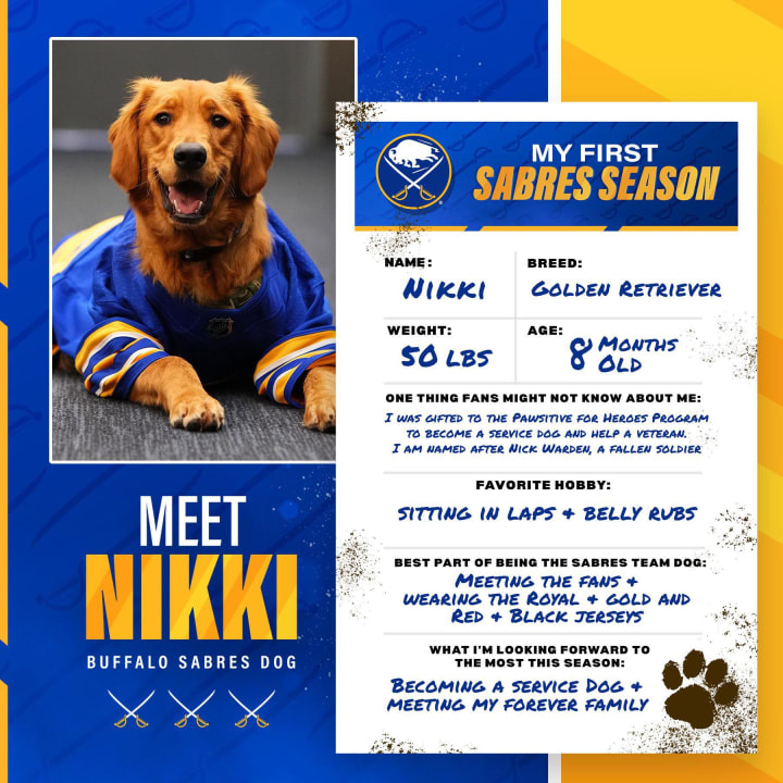 Nikki the dog bio