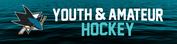 Youth and Amateur Hockey