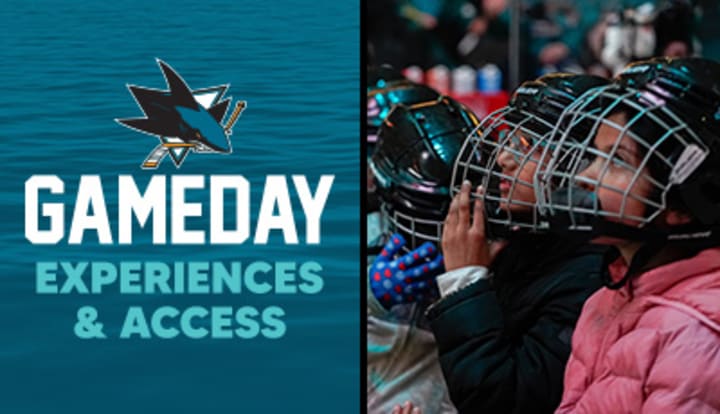 Gameday Experiences and Access