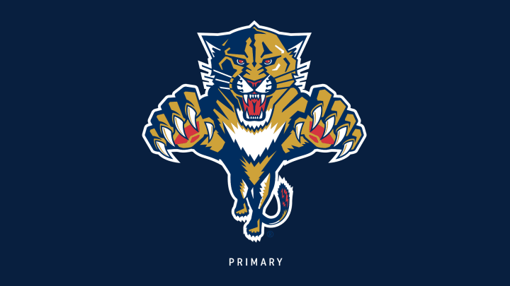 Panther's '93 logo