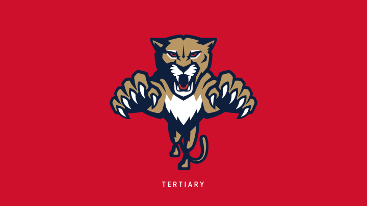 Panthers 2016 tertiary logo