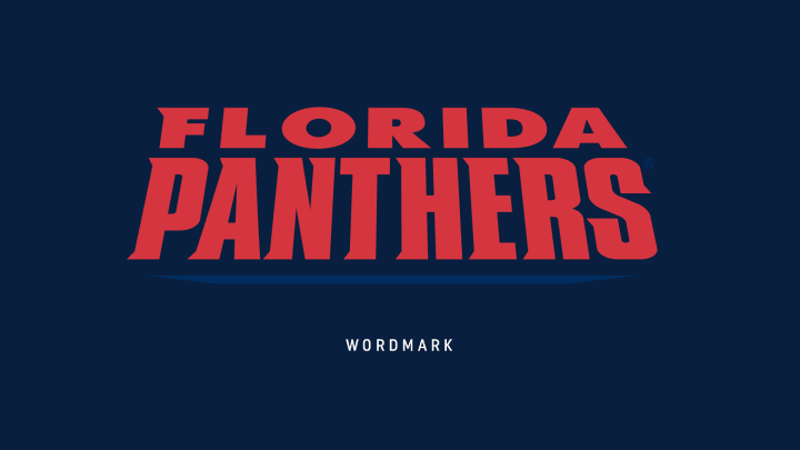 Panthers '93 wordmark