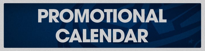 Blue header with grey border. Large grey text reads Promotional Calendar.
