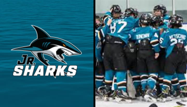 Jr. Sharks