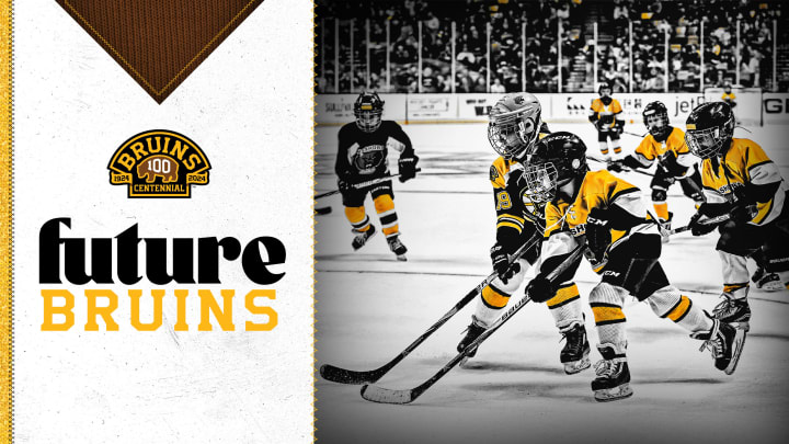 Boston Bruins // NHL Future 4 The new Bruins centennial home and