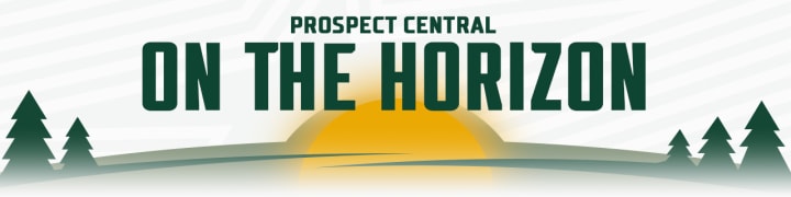 Prospect Central | On the Horizon | Minnesota Wild