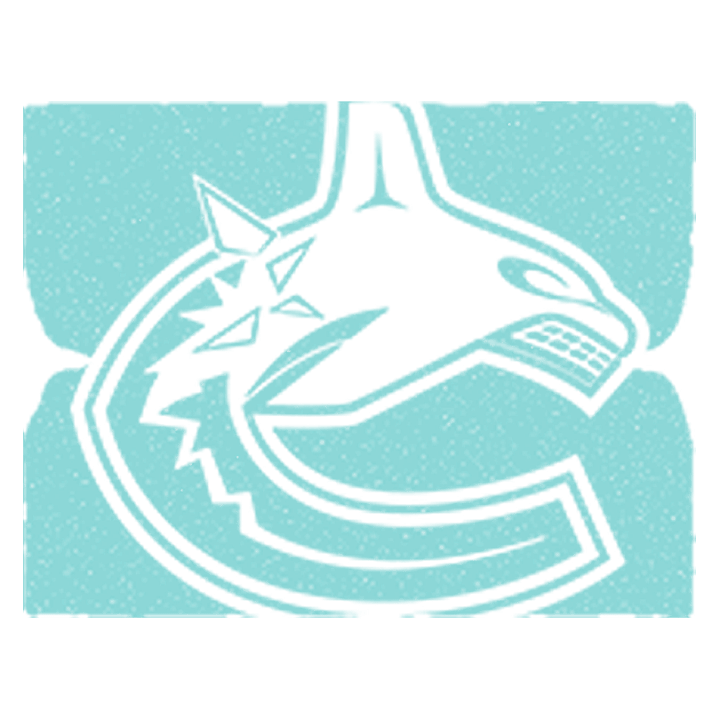 vancouver canucks logo in white, with an ice blue textured background
