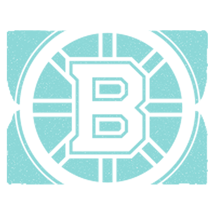boston bruins logo in white, with an ice blue textured background