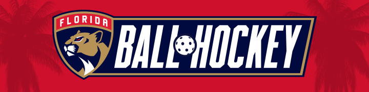 Banner: Ball Hockey