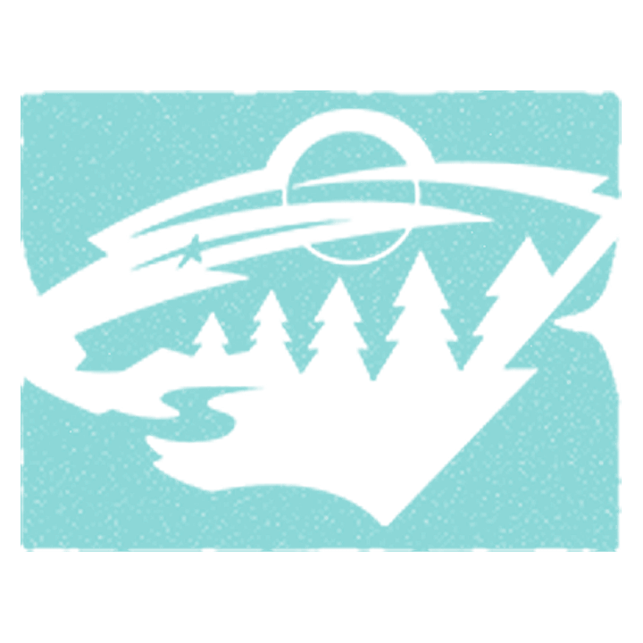 minnesota wild logo in white, with an ice blue textured background