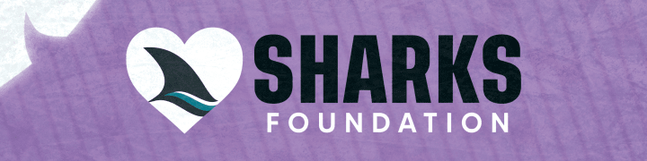 Sharks Foundation Hockey Fights Cancer